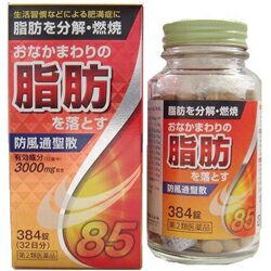 第2類医薬品 北日本製薬 防風通聖散料エキス錠「東亜」384錠 RCP