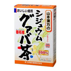 【山本漢方】100％シジュウムグアバ茶　3g×20包☆☆※お取り寄せ商品【RCP】【02P03Dec16】
