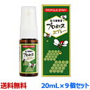 なんと！あの【森川健康堂】プロポリススプレー　20mL が、送料無料の9個まとめ買い特価！ 【RCP】