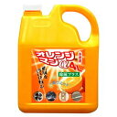 ティポス オレンジマンα 4L◆お取り寄せ商品【RCP】【02P03Dec16】