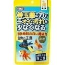 【イトスイ】コメット 金魚の主食 納豆菌 小粒 90g ★ペット用品 ※お取り寄せ商品
