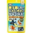 【イトスイ】コメット　金魚の主食　納豆菌　小粒　90g ★ペット用品 ※お取り寄せ商品【RCP】