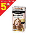 マラソン期間中ポイント5倍(要エントリー)【花王】ブローネ ルミエスト 白髪用ヘアカラー 0B(ゼロビー)/シフォンブラウン 2剤(50g+50g)セット ※医...