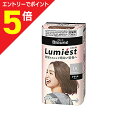 マラソン期間中ポイント5倍(要エントリー)【花王】ブローネ ルミエスト 白髪用ヘアカラー 1A/クールアッシュ 2剤(50g+50g)セット ※医薬部外品 ※お...