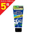 マラソン期間中ポイント5倍(要エントリー)【ホーユー】メンズビゲン カラーリンス ナチュラルブラック 160g ※お取り寄せ商品