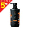 マラソン期間中ポイント5倍(要エントリー)【クラシエホームプロダクツ】いち髪 濃密W保湿ケア コンディショナー ポンプ 480g ※お取り寄せ商品