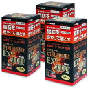 【第2類医薬品】【ビタトレールの漢方薬】ビタトレール 防風通聖散EX錠 384錠(32日分) が、3個まとめ買いセットなら送料無料でお得! 【セルフメディケーション税制 対象品】