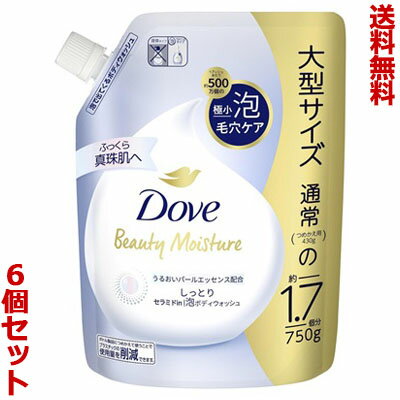 【送料無料の6個セット】【ユニリーバ】ダヴ ビューティーモイスチャー 泡ボディウォッシュ しっとり つめかえ用 750g ※お取り寄せ商品 【送料無料の6個セット】【ユニリーバ】ダヴ ビューティーモイスチャー 泡ボディウォッシュ しっとり つめかえ用 750g ※お取り寄せ商品