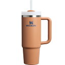 STANLEY(スタンレー) H2.0 真空クエンチャー 0.88L トースト 880ml 保冷 頑丈 ストロー 水筒 夏 アウトドア 食洗機可 保証 (日本正規品)