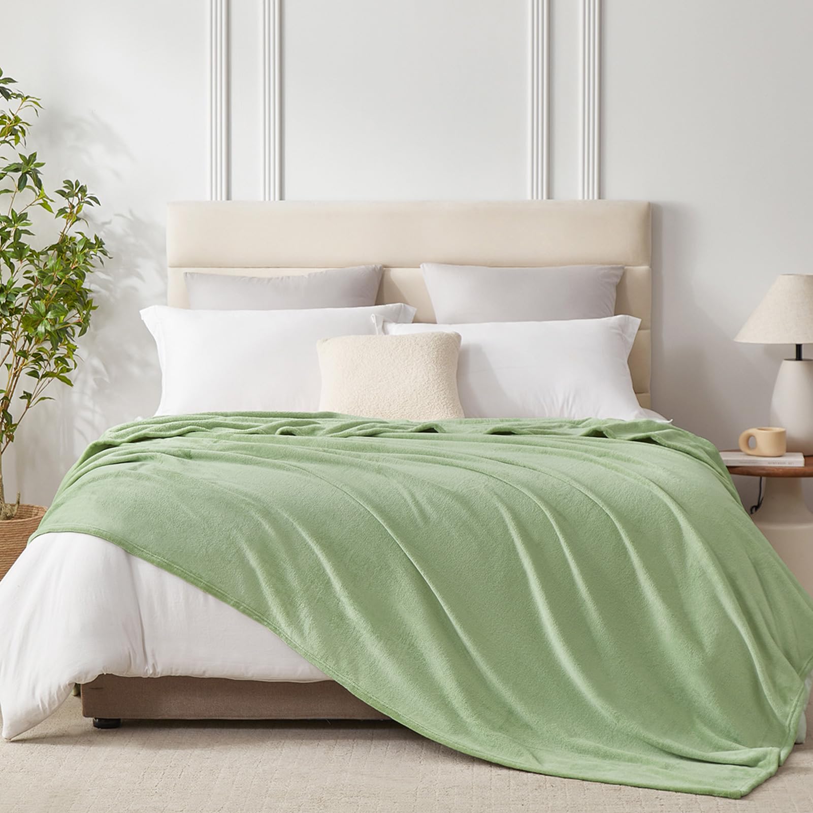 Hansleep 毛布 もうふ 夏用 ダブル ブランケット 大きめ 200x220cm 大判 セージグリーン マイクロファイバー 柔らかく 肌触り フランネル 洗える 軽量 静電防止 四季適用 (220x200,セージグリーン)