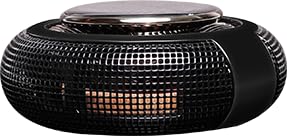 FLIRVA F22�����ե쥰���