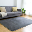 VK Living カーペット ラグ ラグマット 絨毯 200×250cm(約3畳) 滑り止め 洗える 防ダニ 抗菌 防臭 オールシーズン 床暖房 ホットカーペット対応 簡単に掃除 おしゃれ 北欧 フランネルラグ ダークグレー