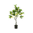GYMAXフェイクグリーン 高さ80cm 人工観葉植物 観葉樹 フェイク 爽やかなレモンの木 飾り用 水やり不要 メンテナンス簡単 室内 屋外 キッチン オフィス リビング 玄関 引っ越し祝い