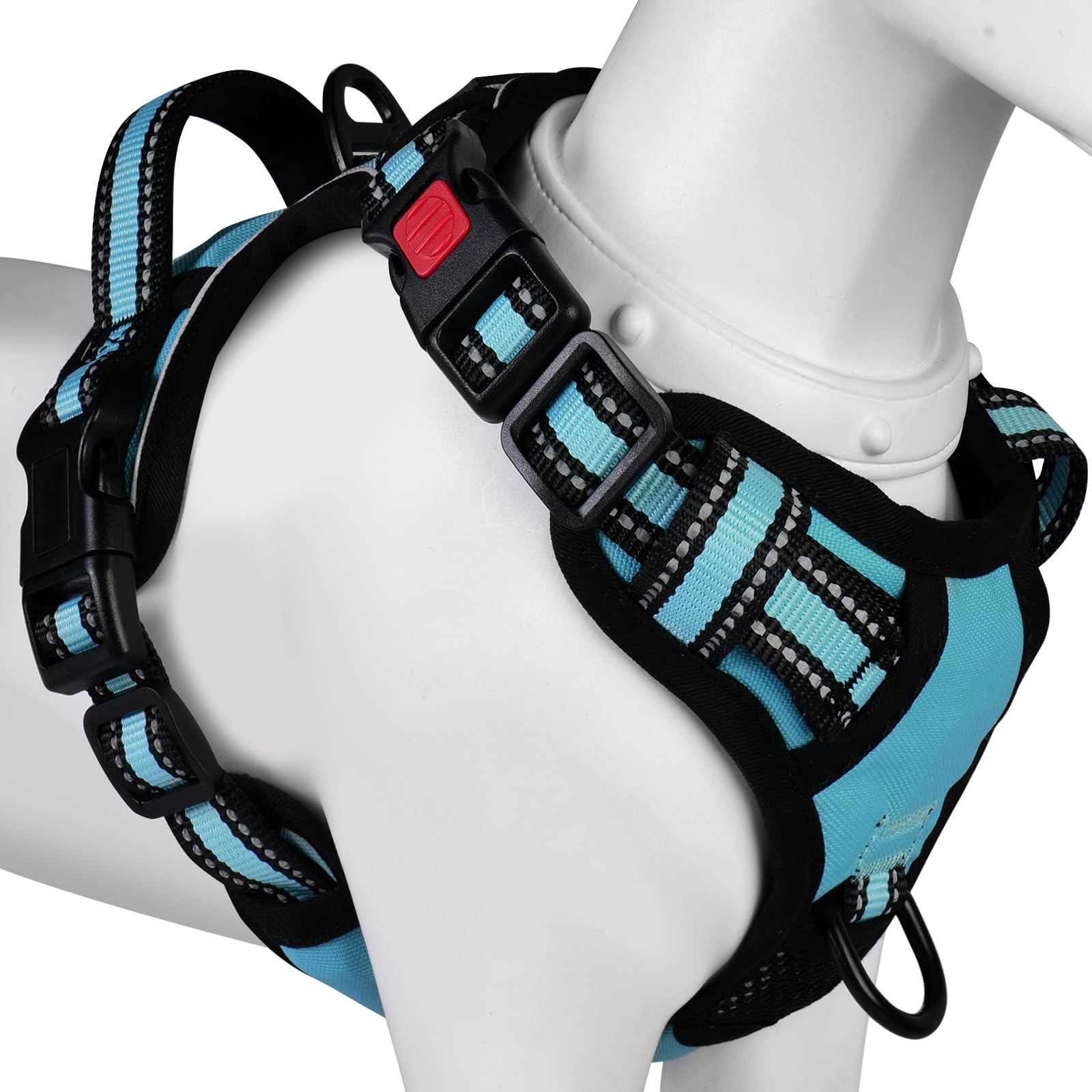 [2025ǿϡͥ]BaoCheng ƹ /淿/緿ϡͥ ƹ ĥɻ ޤ̤ ߷ڸ Ĵǽ ...