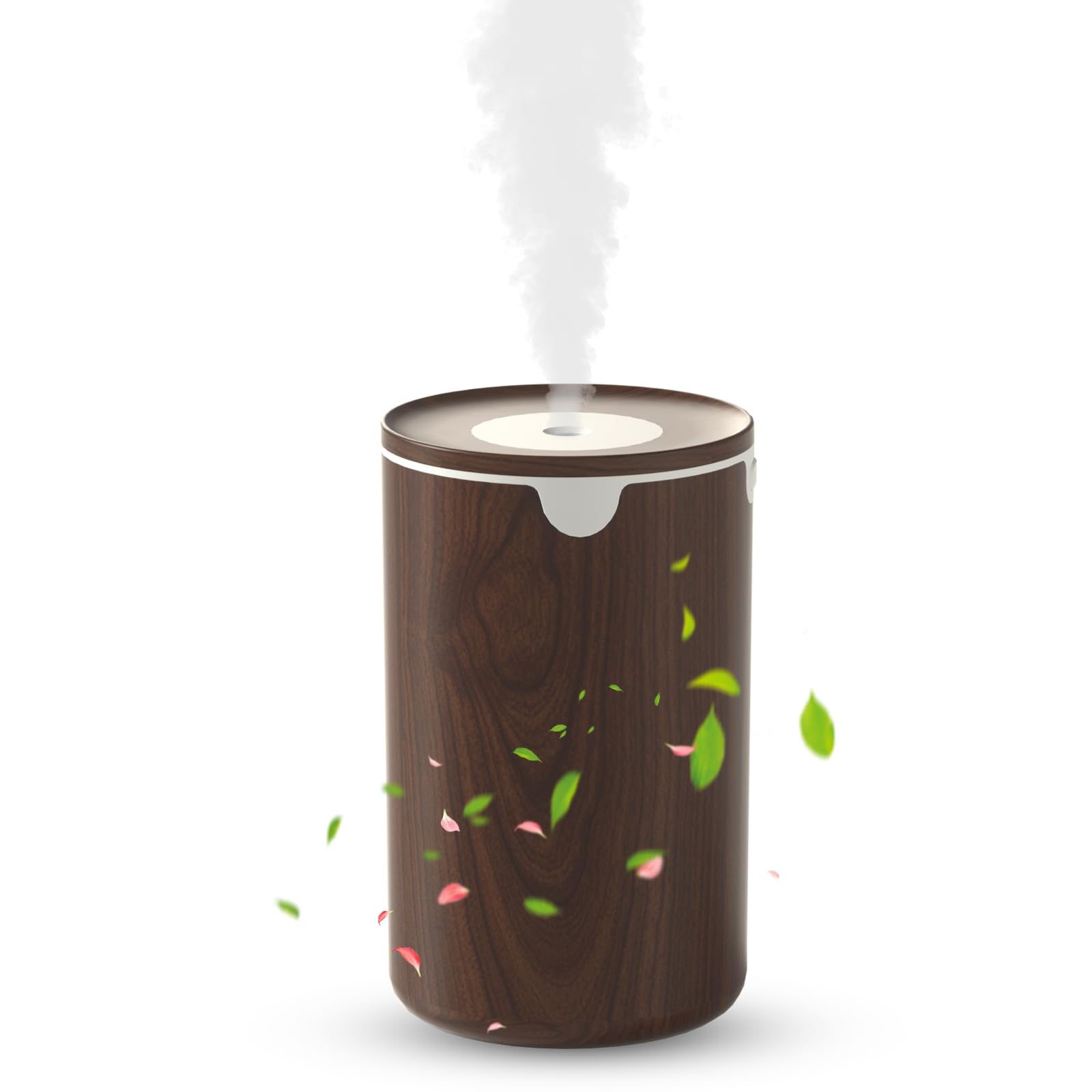 ��2025���ʲ���ǥ�ü������Ĵ�۲ü��� ���� ��� ���� �������б� LED�饤�� Ķ���ȼ� �Ų� ��� ��ư��ߵ�ǽ ��ʲ���ɻ� ���������ñ 6���б�...