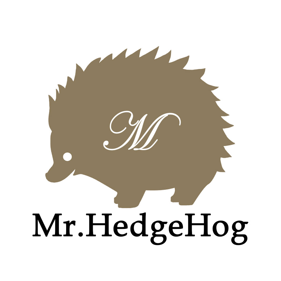 Mr HedgeHog