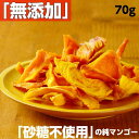 【当商品初回限定】ドライフルーツ ドライマンゴー 砂糖不使用 無添加 送料無料 お試し 食品 フルーツ ギフト マンゴー 【70g x 1袋】 国産 マンゴーレベルの完熟マンゴーを乾かしただけ!マンゴー100%