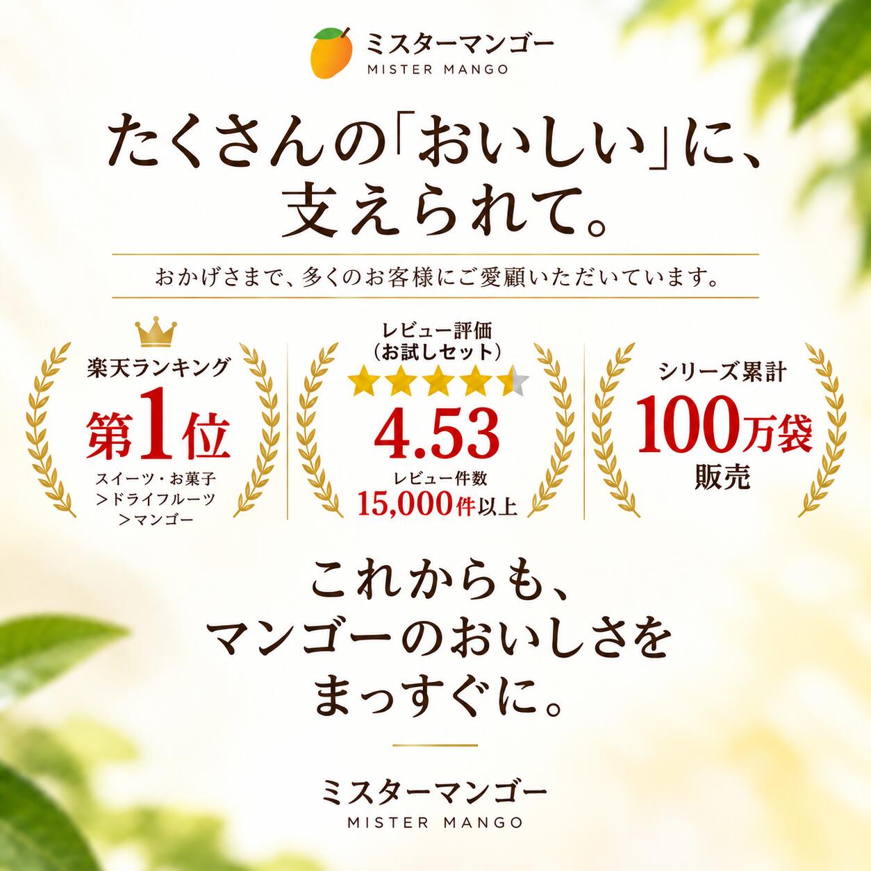 【安心安全の砂糖以外は無添加です】形不揃い ドライマンゴー 1kg (100g x 10袋)オススメ ドライフルーツ 食品添加物 保存料 無添加 通販 食物繊維 フィリピン 訳あり 市販 保存料なし 栄養 コスパ 小分け mr-mango-10000339 ドライマンゴーのミスターマンゴー サンプル画像2