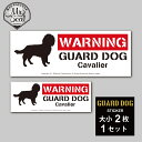 GUARD DOG Sticker [Cavalier]ԌXebJ[/LoA