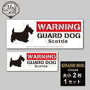 GUARD DOG Sticker [Scottie]ԌXebJ[/XRbeB