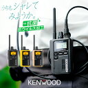 ケンウッド UBZ-M31E 特定小電力トランシーバー / インカム デミトスミニ 小型 KENWOOD DEMITOSS MINI UBZ-M31EB UBZ-M31EY UBZ-M31EG ブラック イエロー ゴールド