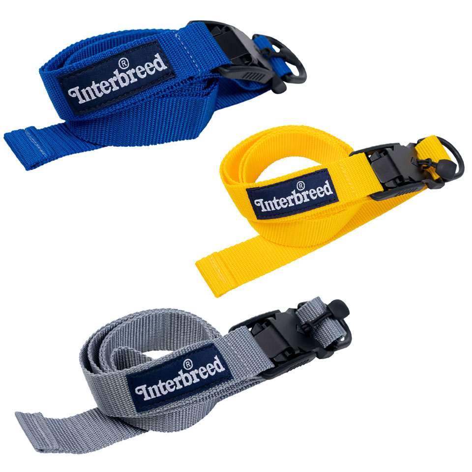 󥿡֥꡼ INTERBREED ٥ EASY TOUCH BELT ֥٥ 졼  ֥롼 GREY YELLO...
