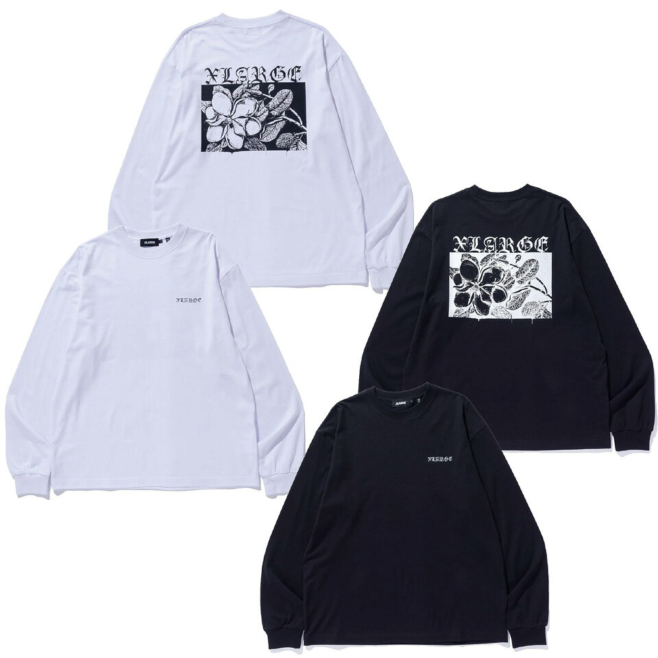 xlarge2545_01.jpg