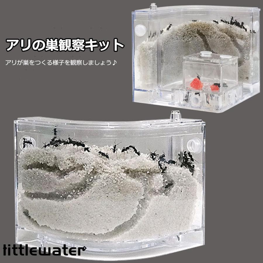 アリの巣　あり観察キット　飼育ケース　砂　自由研究 小学生 あり 蟻 飼育セット 実験セット 観察　夏休み　学習用