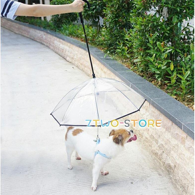 ペット用傘 猫用傘 犬用傘 キャット ペット用品 レイングッズ アンブレラ 犬用傘 雨具 透明 雨の日に散歩 リード接続 チェーン付き 撥水 猫用 小型犬 中型犬