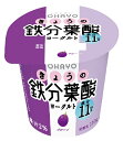 オハヨー乳業きょうの鉄分葉酸ヨーグルト110g×16個【ロイテリ菌】【乳酸菌】