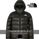 【ポイント5倍/24日20:00～】 THE NORTH FACE ノースフェイス 国内正規品 アルパインヌプシフーディ Alpine Nuptse Hoodie ユニセックス メンズ レディース 男女兼用 アウター ダウン ダウンジャケット アウトドア 登山 冬山 はっ水加工 ストリート ND92301