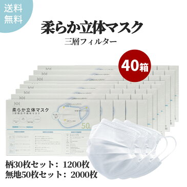 不織布マスク 2000枚 40箱 三層構造 【大人用マスク】 まとめ買い 大量 使い捨てマスク カラーマスク 血色マスク 柄マスク 家庭用マスク ホコリ 3層フィルター構造 不織布 無地 柔らか立体マスク 使い捨て 業務用 肌に優しいマスク JIS基準適用 立体 3層マスク プリーツ