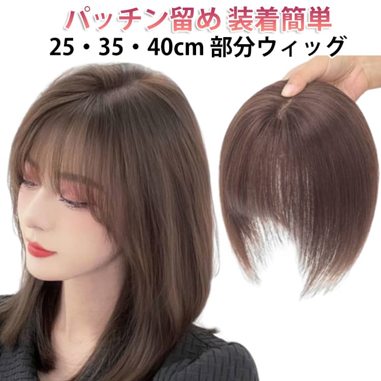 Rakuten - 女性 前髪ウィッグ 薄毛隠し かつら レディース ウィッグ 部分 ミセス 自然 部分ウィッグ トップヘアピース 頭頂部 ポイントウィッグ 女性 ヘアピース 人工毛 部分かつら 部分ウイッグ 白髪隠し