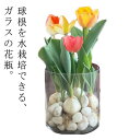 フラワーベース 北欧 ガラス おしゃれ 小さい フラワーギフト フラワーポット ガラス ガラス 硝子 透明 花器 ナチュラル 花瓶 球根/水栽培 ガーデニング ...