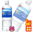 【2ケース】 アサヒ おいしい水 富士山のバナジウム天然水 PET 600ml×24本入×2ケース：合計48本 【北海道・沖縄・離島配送不可】