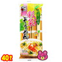 【2ケース】 五木食品 彩菜そうめん 320g×20袋入×2ケース:合計40袋 【北海道・沖縄・離島配送不可】