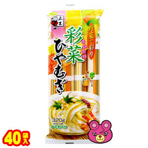 【2ケース】 五木食品 彩菜ひやむぎ 320g×20袋入×2ケース：合計40袋 【北海道・沖縄・離島配送不可】