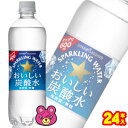 【1ケース】 ポッカサッポロ おいしい炭酸水 PET 600ml×24本入 【北海道・沖縄・離島配送不可】