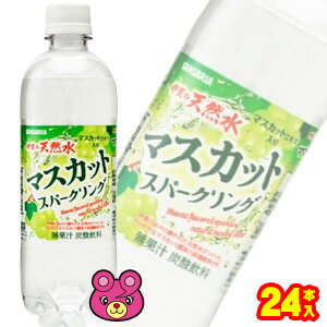 【1ケース】 サンガリア 伊賀の天然水 マスカットスパークリング PET 500ml×24本入 【北海道・沖縄・離島配送不可】