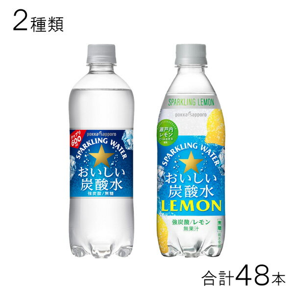 【2種類セット】ポッカサッポロ おいしい炭酸水 PET 600ml おいしい炭酸水レモン PET 500ml 各24本入×2種類：合計48本 国産天然水 炭酸水 【北海道 沖縄 離島配送不可】