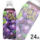 【1ケース】 アサヒ 三ツ矢特濃グレープスカッシュ PET500ml×24本 【北海道・沖縄・離島配送不可】