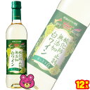 楽天O9ショップ【オーナインショップ】【お酒】 サッポロ 酸化防止剤無添加 白ワイン 720ml×12本入 新日本スーパーマーケット同盟オリジナル ペットボトル【ケース販売品】【北海道・沖縄・離島配送不可】