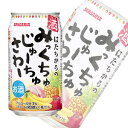 【お酒】【1ケース】 サンガリア みっくちゅじゅーちゅさわー 缶 350ml×24本入 【北海道・沖縄・離島配送不可】