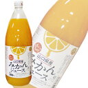 【1ケース】 山口県産 みかんジュース 瓶 1L×6本入 1000ml 日本果実工業 山口農協直販 【北海道 沖縄 離島配送不可】