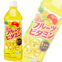 【1ケース】 サンガリア すっきりとフルーツビタミン PET 500ml×24本入 【北海道・沖縄・離島配送不可】