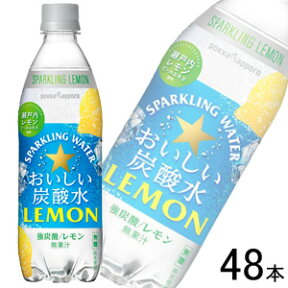 【2ケース】 ポッカサッポロ おいしい炭酸水レモン PET 500ml×24本入×2ケース：合計48本【北海道・沖縄・離島配送不可】