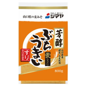 チョーコー醤油 九州麦みそ(500g)【チョーコー】