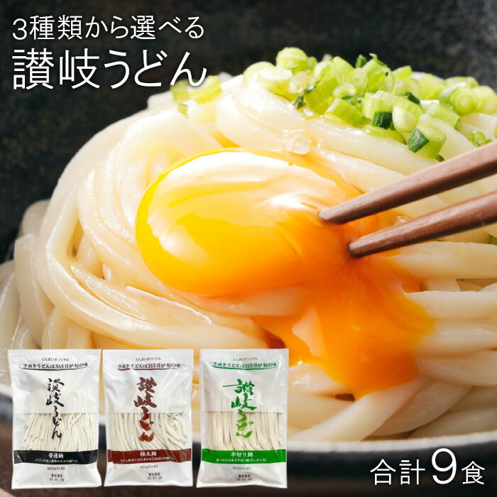 【全国送料無料】【メール便】【3袋：約9食分】 サンヨーフーズ 讃岐うどん 3種類から選べる 9食セット 300g×3袋入 産地直送 四国 うどん 【メーカー直送品】［郵便受けへの投函です］のサムネイル