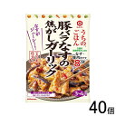 【40個】 キッコーマン うちのごはん おそうざいの素 豚バラなすの焦がしガーリック 77g×40個入 【北海道・沖縄・離島配送不可】