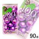 【3ケース】 サンガリア 果実味わう100% 赤ぶどうジュース 缶 190g×30本入×3ケース:合計90本 【北海道・沖縄・離島配送不可】